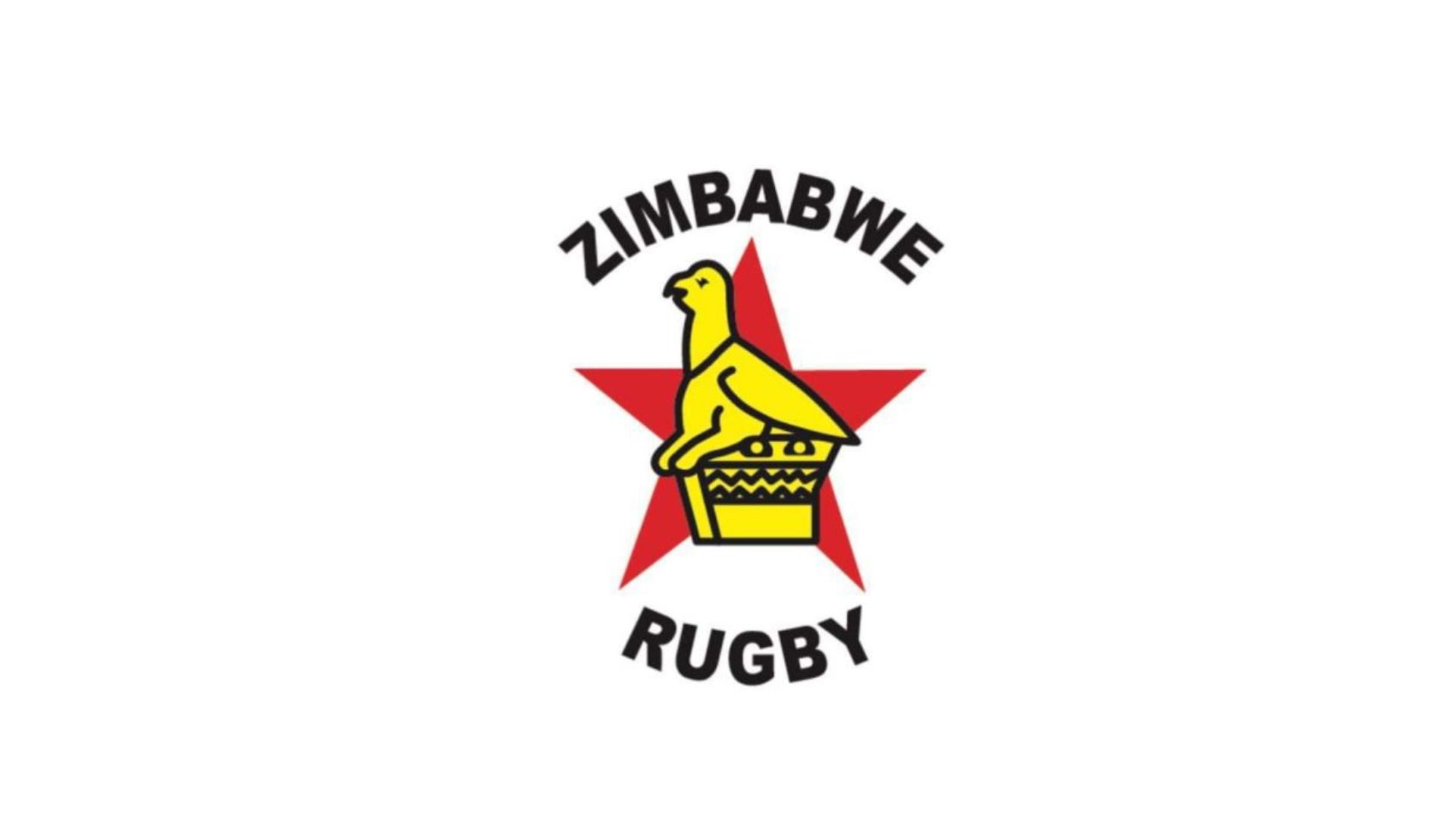 Interim Committee to Run Zimbabwe Rugby After Board Suspension